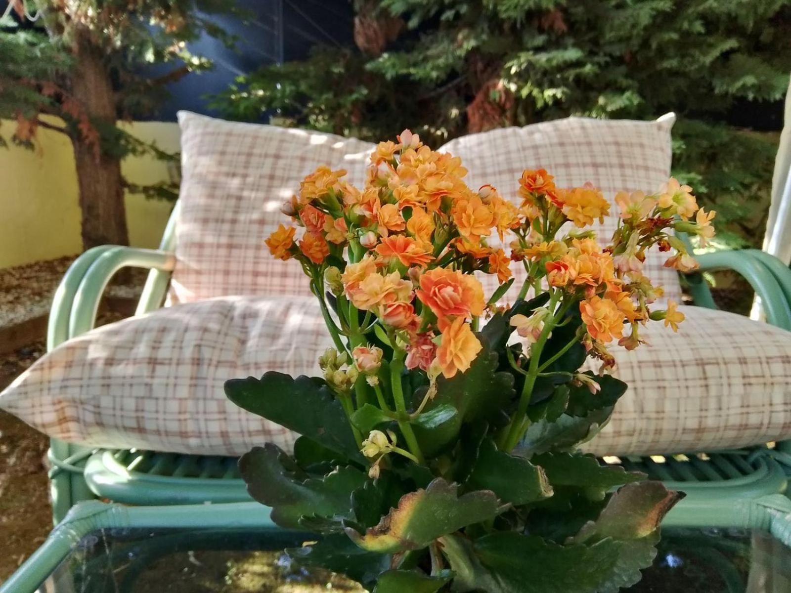 Like My Home Artemida  Buitenkant foto